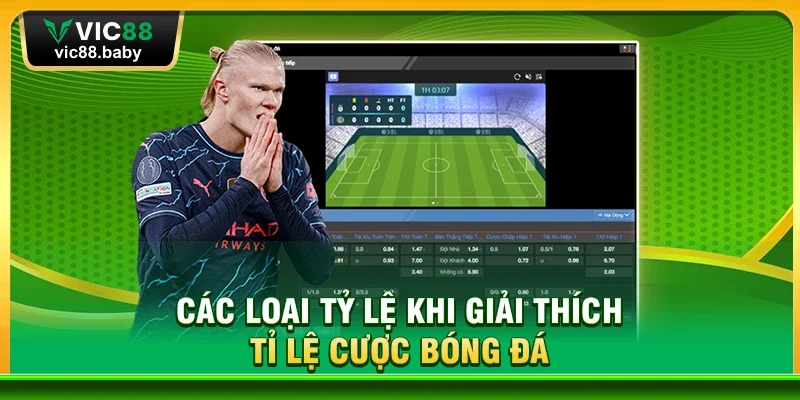 Các Loại Tỷ Lệ Khi Giải Thích Tỉ Lệ Cược Bóng Đá